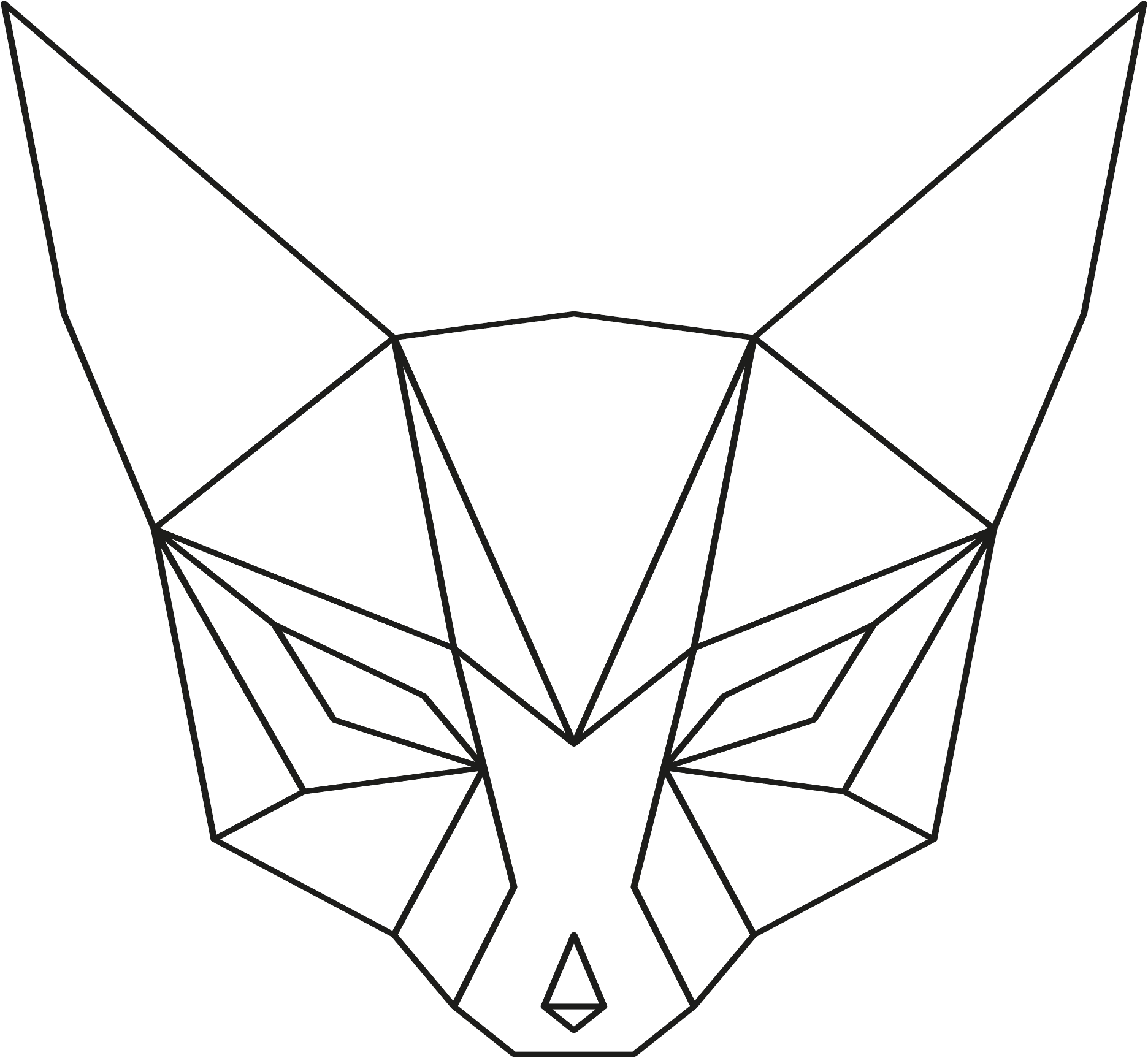 Okładka: Zwierzęta geometryczne